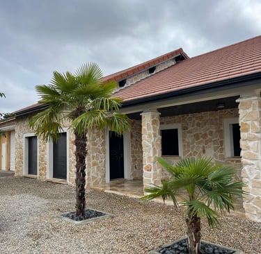 a palm tree in front of a building