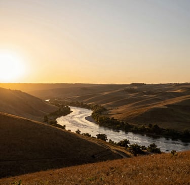 A collection of shiny gummy bear resin figures arranged on a bright pastel background.