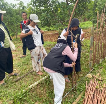 Mahasiswa GIAT 13 UNNES Desa Polokarto membantu melakukan penanaman pagar hidup