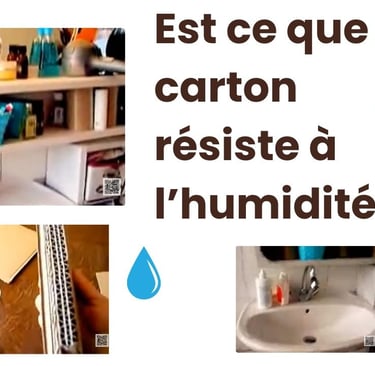 Meubles en carton salle de bains, humidité