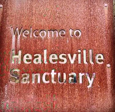 welcome to healesville sanctuary
