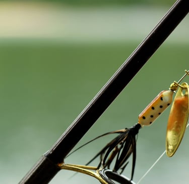 trout fishing spinner hanging from rod
