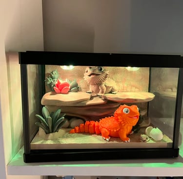 Bearded Dragons in enclosure with plants, rocks and 'mood' lighting