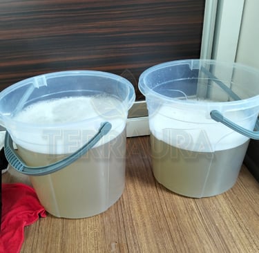 terraura koltuk yıkama antalya