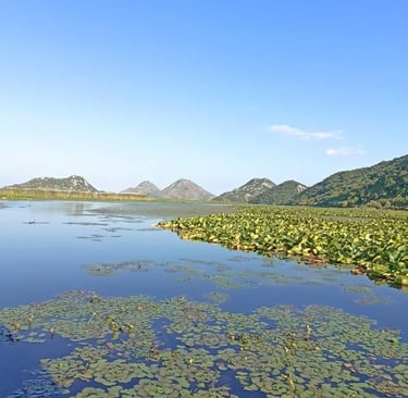Panoramic viewpoint over Skadar Lake in Montenegro