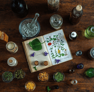 a book opened to show herbs will tolls around