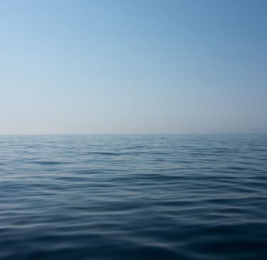 Mindset Coach nach Healing Humans