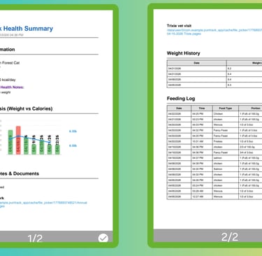 Two pages of PDF documentation illustrating the behind-the-scenes technical planning and development