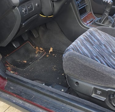 Avant nettoyage intérieur Honda