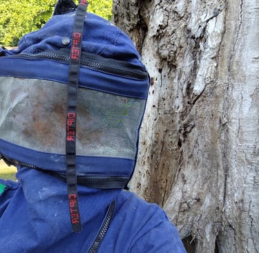 technicien de dezinsect corse en combinaison pour traitement nid de frelons