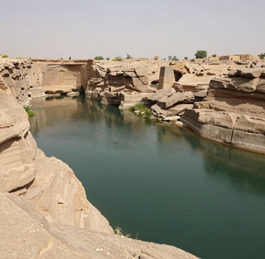 Community members planting young trees together under a bright blue sky.