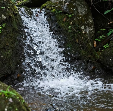 Community members working together to restore a flowing riverbank with native plants.
