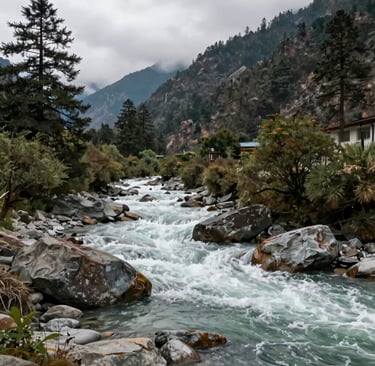 Close-up of a lotus pond teeming with blooming flowers and dragonflies resting on leaves.