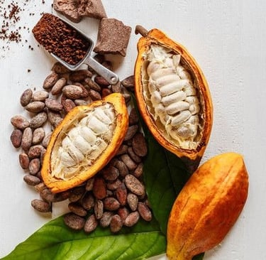 Raw cocoa ingredients including cocoa pods, cocoa beans, and cocoa powder