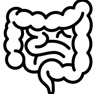 icon gut intestine