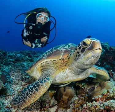 Taucherin über eine Schildkröte