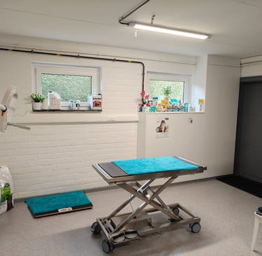 Foto van de praktijk langs binnenin