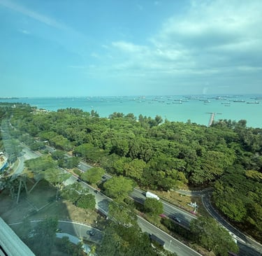 Aerial view of East Coast Park Singapore with lush green trees, coastal road, and cargo ships in the sea.