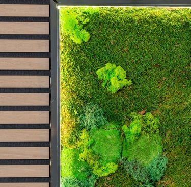 a mossel planter with mossel and mossel