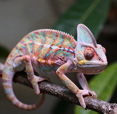 A cozy reading nook with a copy of 'Leadership Legacy' open beside a steaming cup of coffee.