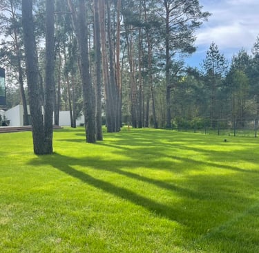 profesionalus vejos įrengimas su paruoštu gruntu