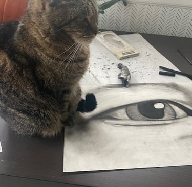 tabby cat and eyeball drawing in charcoal