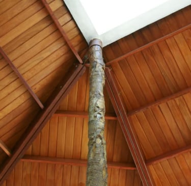 Forro da casa sustentável com ventilação natural no Rio Grande do Norte