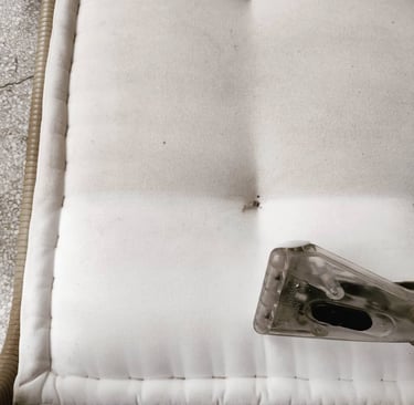 Image of Refresh Property Services after an upholstery cleaning in san antonio, TX. 