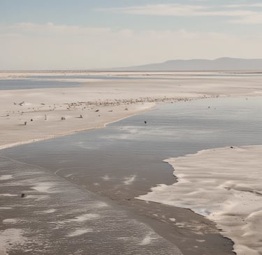 A traveler setting up a camping tent beside a 4×4 under a wide, starry Namibian sky.