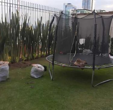 Construcción de jardín 