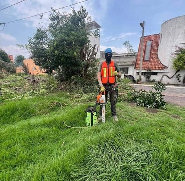 Profesional con equipo de rescate para gatos en un árbol