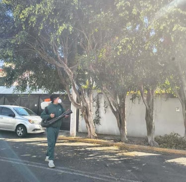 Profesional realizando una fumigación a un árbol
