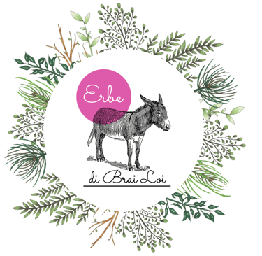 Una vasta gamma di erbe per la cucina e per le tisane, coltivate col metodo biodinamico, certificato