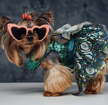 Un elegante Yorkshire Terrier con gafas de sol en forma de corazón y un vestido verde de lentejuela.