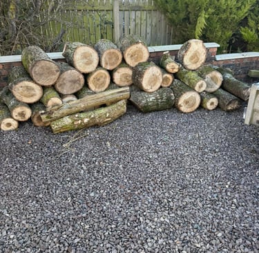 Logs For Sale South Lanarkshire