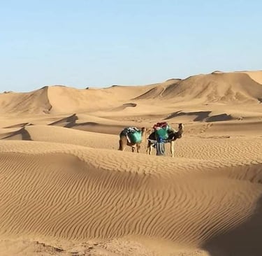 a group of people riding on a camel in the desert