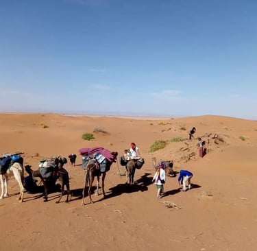 a group of people walking through a desert