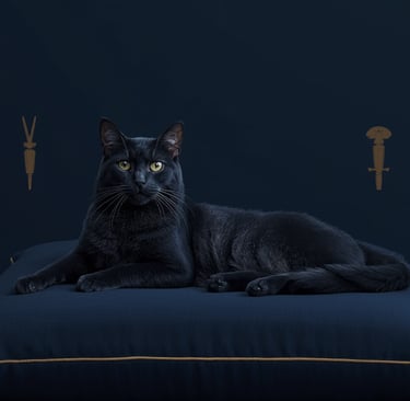Cat sleeping deeply on navy cushion — why cats sleep so much
