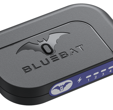 Charging Device | Bluebat BB101 for optimum charging. Timed and delayed charge with heat sensor