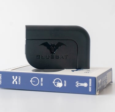 Charging Device | Bluebat BB101 for optimum charging. Timed and delayed charge with heat sensor