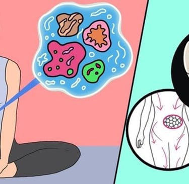 a woman sitting on a yoga mat and images displaying how exercise/nutrition can help reduce belly fat