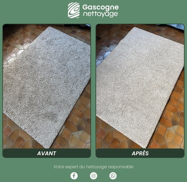 Nettoyage de tapis Bordeaux | Nettoyage professionnel à domicile | Gascogne Nettoyage