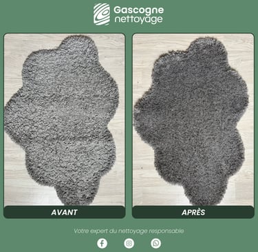Nettoyage de tapis Bordeaux | Nettoyage professionnel à domicile | Gascogne Nettoyage