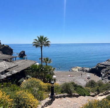 Sunlit Mediterranean cove in Spain with palm trees, rocky coastline, and tranquil blue sea viewed from above.