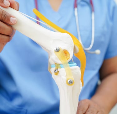 Articulación rodilla