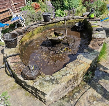 fish pond garden, garden fish ponds clean