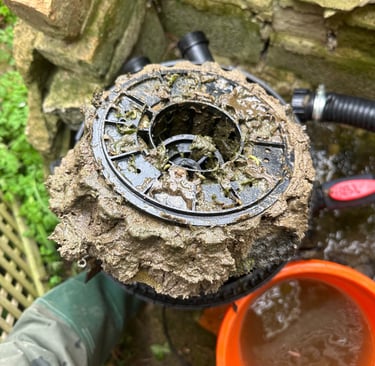 Garden Pond filter maintenance tips