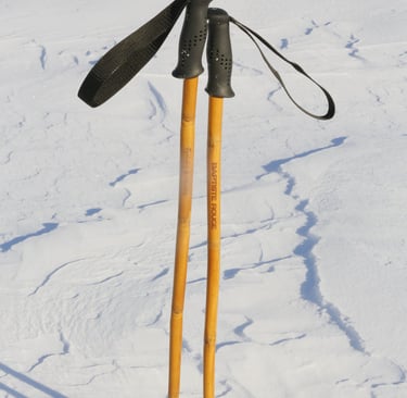 batons en bambou alpine legacy