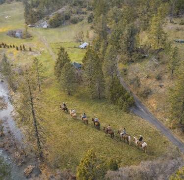 Horseback riding through Kowana Valley