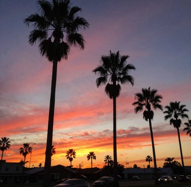 Bright living room with modern inventory